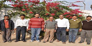 image-name